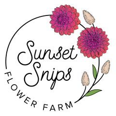 Sunset Snips Flower Farm